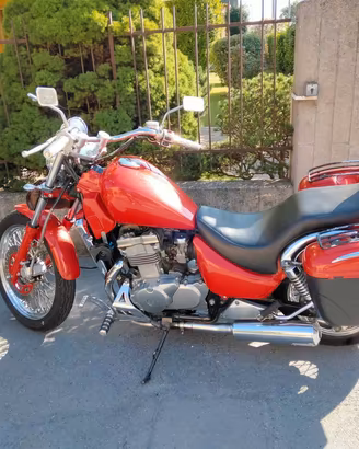 Kawasaki custom 