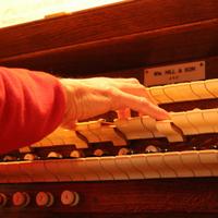 Insegnante di pianoforte