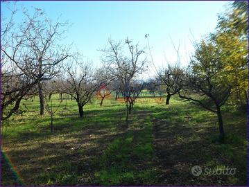Terreno agricolo di 6.241 mq con doppio ingresso