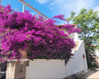 Casa vacanza a Portoscuso (CA)