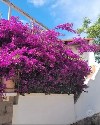 Casa vacanza a Portoscuso (CA)
