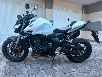 Hornet 1000