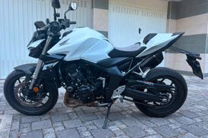 Hornet 1000