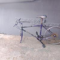 telaio Bianchi ragno