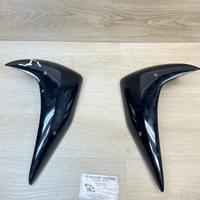 FIANCHETTI RADIATORE Z750 2004 2006