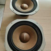 subwoofer Proton 30 cm 