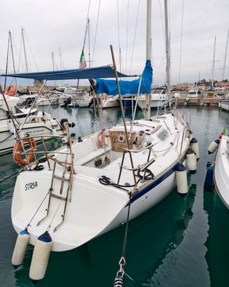 Natante a vela Aloa 29