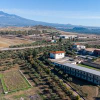 Rif.RC63| azienda agricola paterno'