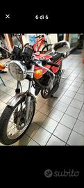 Benelli 250 2 c