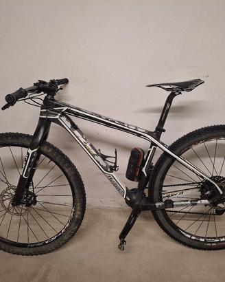mtb willer 101xn full carbon tg M