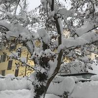 Un giardino incantato a Roccaraso centro
