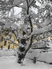 Un giardino incantato a Roccaraso centro