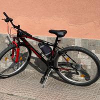 Bicicletta Esperia 29”