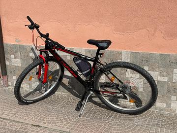 Bicicletta Esperia 29”