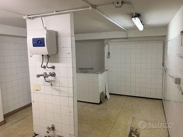 Negozio Arezzo [C1195ACG] (Centro storico)