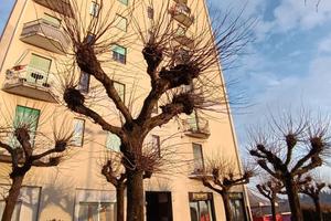 Appartamento a Saltrio condominio per marzo/aprile