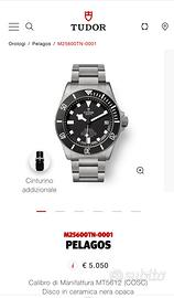 Tudor Pelagos 25600TN