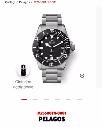 Tudor Pelagos 25600TN