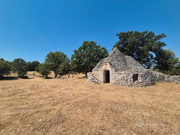Contrada Luco, trullo da ristrutturare con terreno
