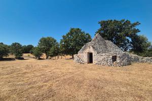 Contrada Luco, trullo da ristrutturare con terreno