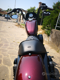 Sportster XL 1200 NS Iron