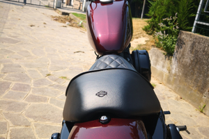 Sportster XL 1200 NS Iron