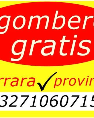 Sgombero tutto ferrara e provincia 3271060715