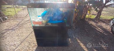 Acquario 250 litri