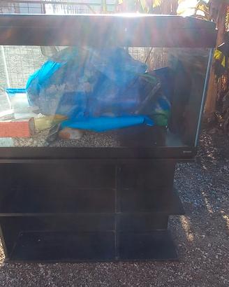 Acquario 250 litri