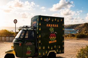 Ape Piaggio Food Truck pronta all’uso