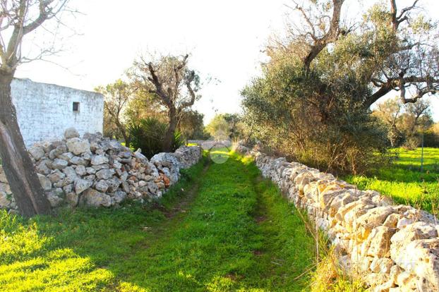 TER. AGRICOLO A CAROVIGNO