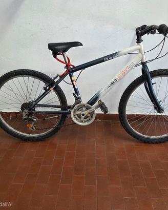 mtb ruota 24