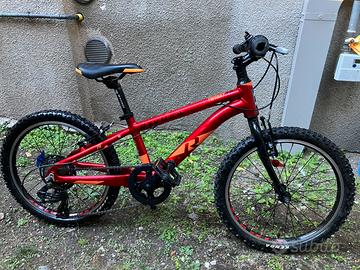 Bicicletta bambino 20” Raymon –  🚴