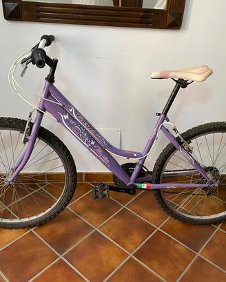 bicicletta
