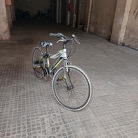 Mountain bike ruota 24 kappa galant