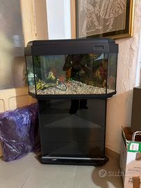 acquario