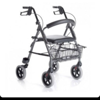 Deambulatore rollator moretti