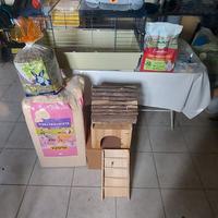 kit porcellino d'india 