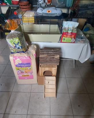 kit porcellino d'india 