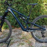 Specialized Stumpjumper EVO Expert 2024