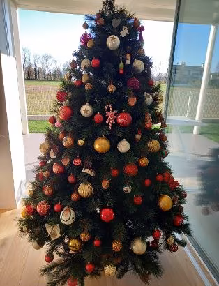Albero di Natale
