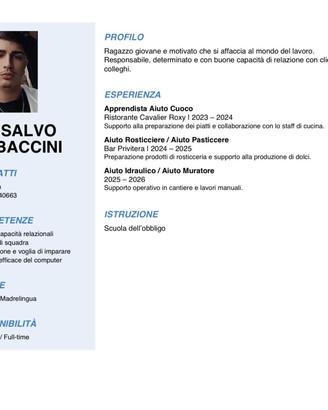 Chi mi offre un lavoro ?