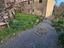 Immagine 8