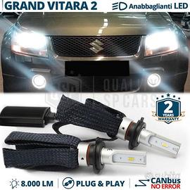Kit fari LED CANBUS PER Suzuki Grand Vitara II 5 P