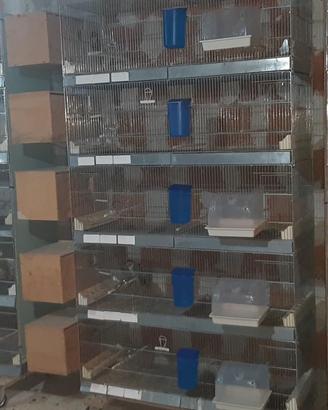 Gabbie da cova da 120