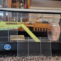 Gabbia savic plaza knock down per roditori 