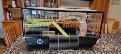 Gabbia savic plaza knock down per roditori 