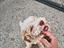 Immagine 2