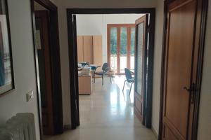 N. 2 stanze uso ufficio - macerata