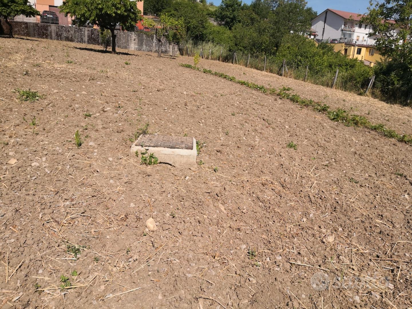 Area edificabile - Vista 2
